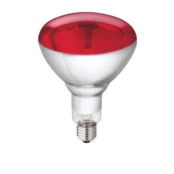 Pære for varmelampe 150 W Phillips