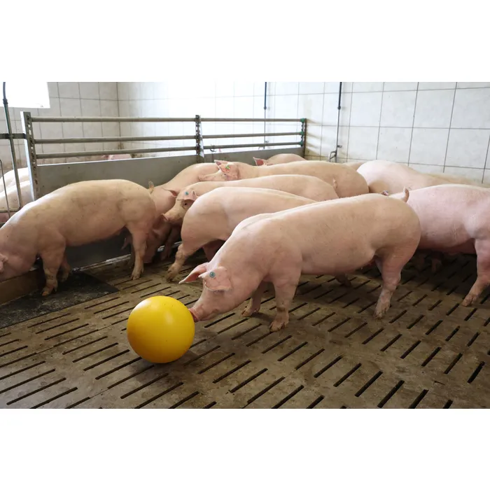 Antistressball til gris - Bilde 3