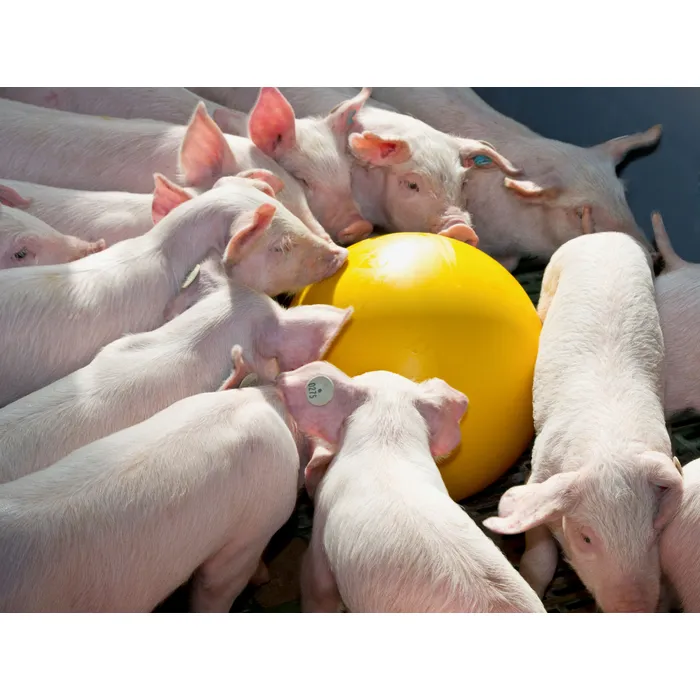Antistressball til gris - Bilde 2