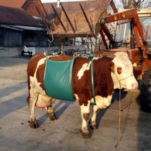 Kuløfter med sele 1000kg